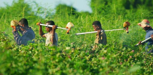vidéo pédagogique pour le bureau internationnal du travail
